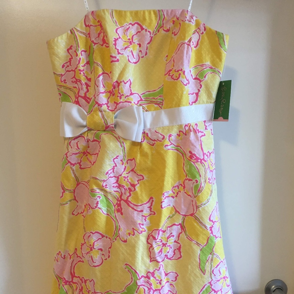 Lilly Pulitzer Amberly Dress